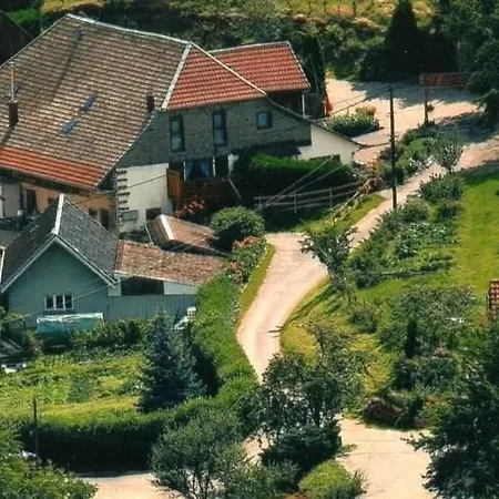 Hébergement de vacances La Gentiane Sainte-Marie-aux-Mines